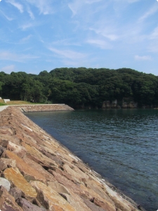 河川・砂防・海岸分野