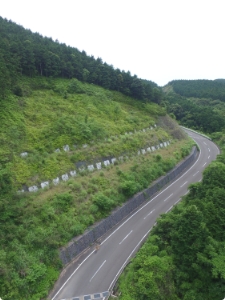 治山・林道分野