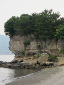 地盤環境分野