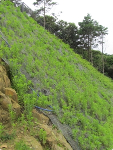 環境・緑化分野